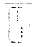 USE OF CYCLODEXTRINS TO IMPROVE THE SPECIFICITY, SENSITIVITY AND YIELD OF     NUCLEIC ACID AMPLIFICATION REACTIONS diagram and image