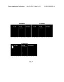 USE OF CYCLODEXTRINS TO IMPROVE THE SPECIFICITY, SENSITIVITY AND YIELD OF     NUCLEIC ACID AMPLIFICATION REACTIONS diagram and image