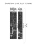 BIOMARKERS FOR PANCREATIC CANCER AND DIAGNOSTIC METHODS diagram and image