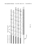 Nucleic acid, biomolecule and polymer identifier codes diagram and image