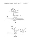 ULTRA HIGH-THROUGHPUT OPTI-NANOPORE DNA READOUT PLATFORM diagram and image