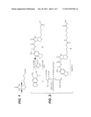 Emulsion PCR And Amplicon Capture diagram and image