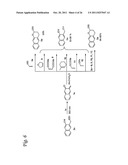 Methods for Labeling a Substrate Using a Hetero-Diels-Alder Reaction diagram and image