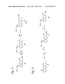 Methods for Labeling a Substrate Using a Hetero-Diels-Alder Reaction diagram and image