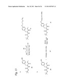Methods for Labeling a Substrate Using a Hetero-Diels-Alder Reaction diagram and image