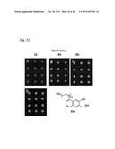 Methods for Labeling a Substrate Using a Hetero-Diels-Alder Reaction diagram and image