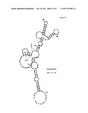 MSP-1 PROTEIN PREPARATIONS FROM PLASMODIUM diagram and image