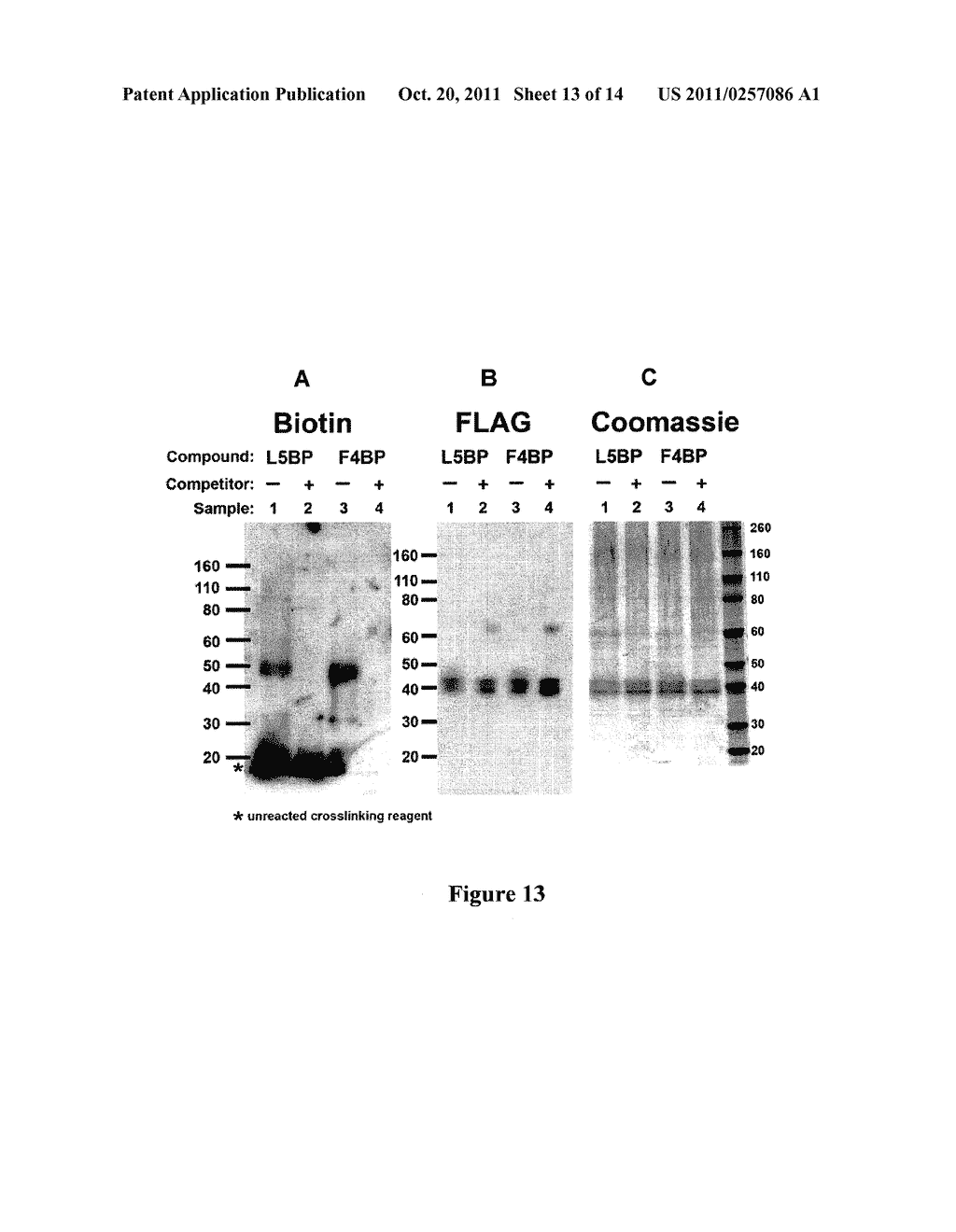 METHODS FOR SYNTHESIS AND USES OF INHIBITORS OF GHRELIN O-ACYLTRANSFERASE     AS POTENTIAL THERAPEUTIC AGENTS FOR OBESITY AND DIABETES - diagram, schematic, and image 14