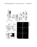 COMPOSITIONS AND METHODS OF TREATING CANCER diagram and image