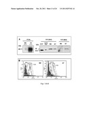 COMPOSITIONS AND METHODS OF TREATING CANCER diagram and image