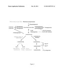 Aryl-substituted bridged or fused diamines as modulators of leukotriene A4     hydrolase diagram and image