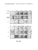 2 x 2 x 2 WEEK DOSING REGIMEN FOR TREATING ACTINIC KERATOSIS WITH     PHARMACEUTICAL COMPOSITIONS FORMULATED WITH 3.75 % IMIQUIMOD diagram and image