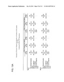 2 x 2 x 2 WEEK DOSING REGIMEN FOR TREATING ACTINIC KERATOSIS WITH     PHARMACEUTICAL COMPOSITIONS FORMULATED WITH 3.75 % IMIQUIMOD diagram and image