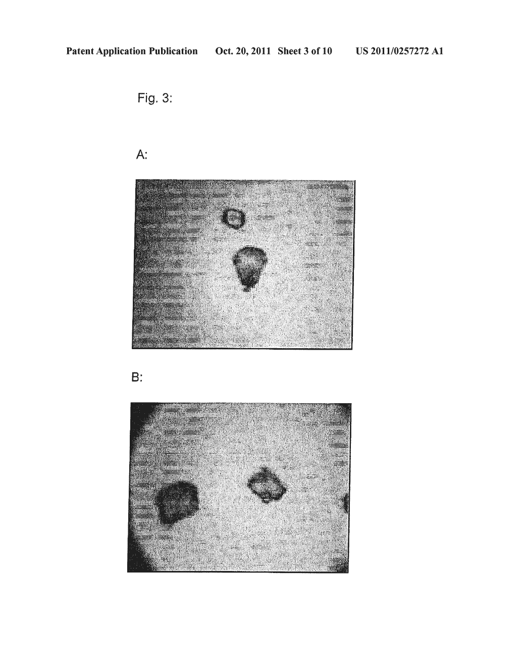 MIXED CRYSTALS, METHOD FOR THE PRODUCTION THEREOF AND USE THEREOF IN THE     PRODUCTION OF BAKED GOODS - diagram, schematic, and image 04