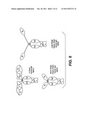 IMMUNOGLOBULINS DEVOID OF LIGHT CHAINS diagram and image