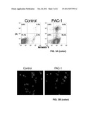 Compositions and Methods Including Cell Death Inducers and Procaspase     Activation diagram and image