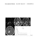 ESTIMATING AND CORRECTING FOR CONTRAST AGENT EXTRAVASATION IN TISSUE     PERFUSION IMAGING diagram and image