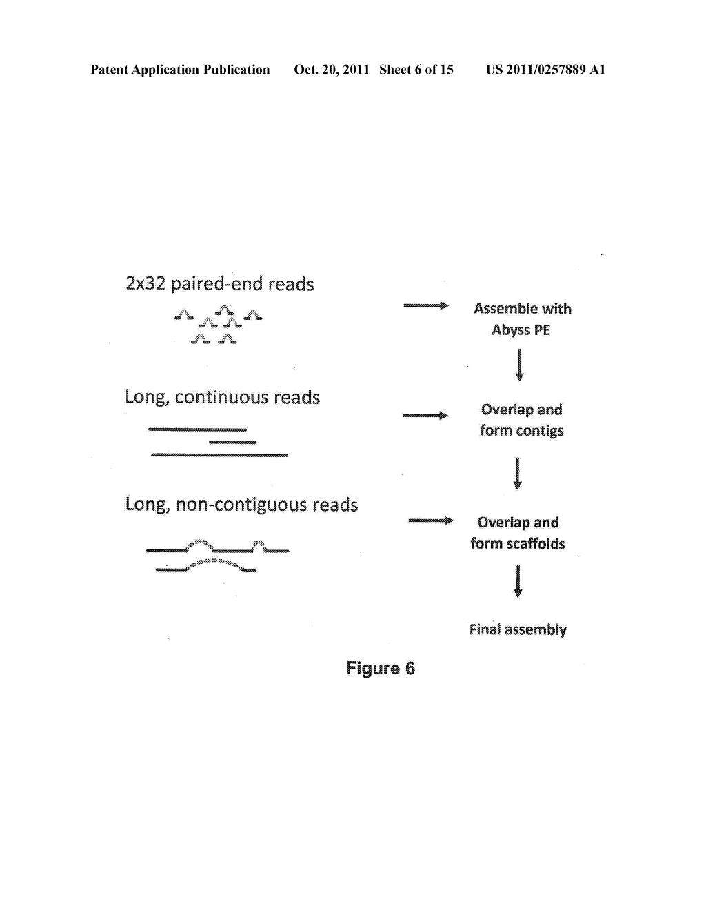 SEQUENCE ASSEMBLY AND CONSENSUS SEQUENCE DETERMINATION - diagram, schematic, and image 07