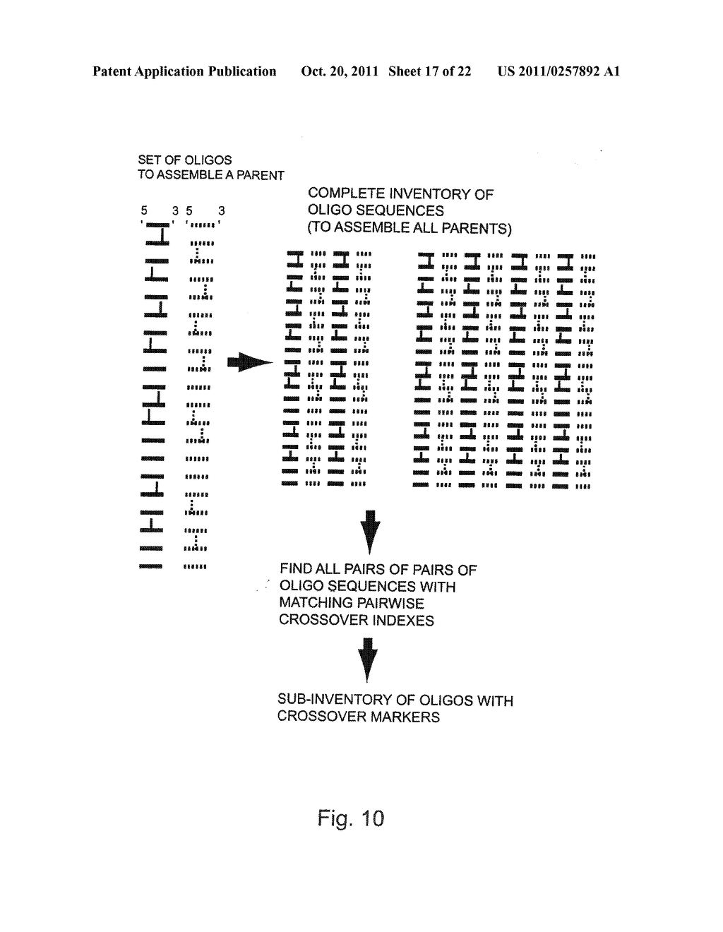 METHODS FOR IDENTIFYING SETS OF OLIGONUCLEOTIDES FOR USE IN AN IN VITRO     RECOMBINATION PROCEDURE - diagram, schematic, and image 18