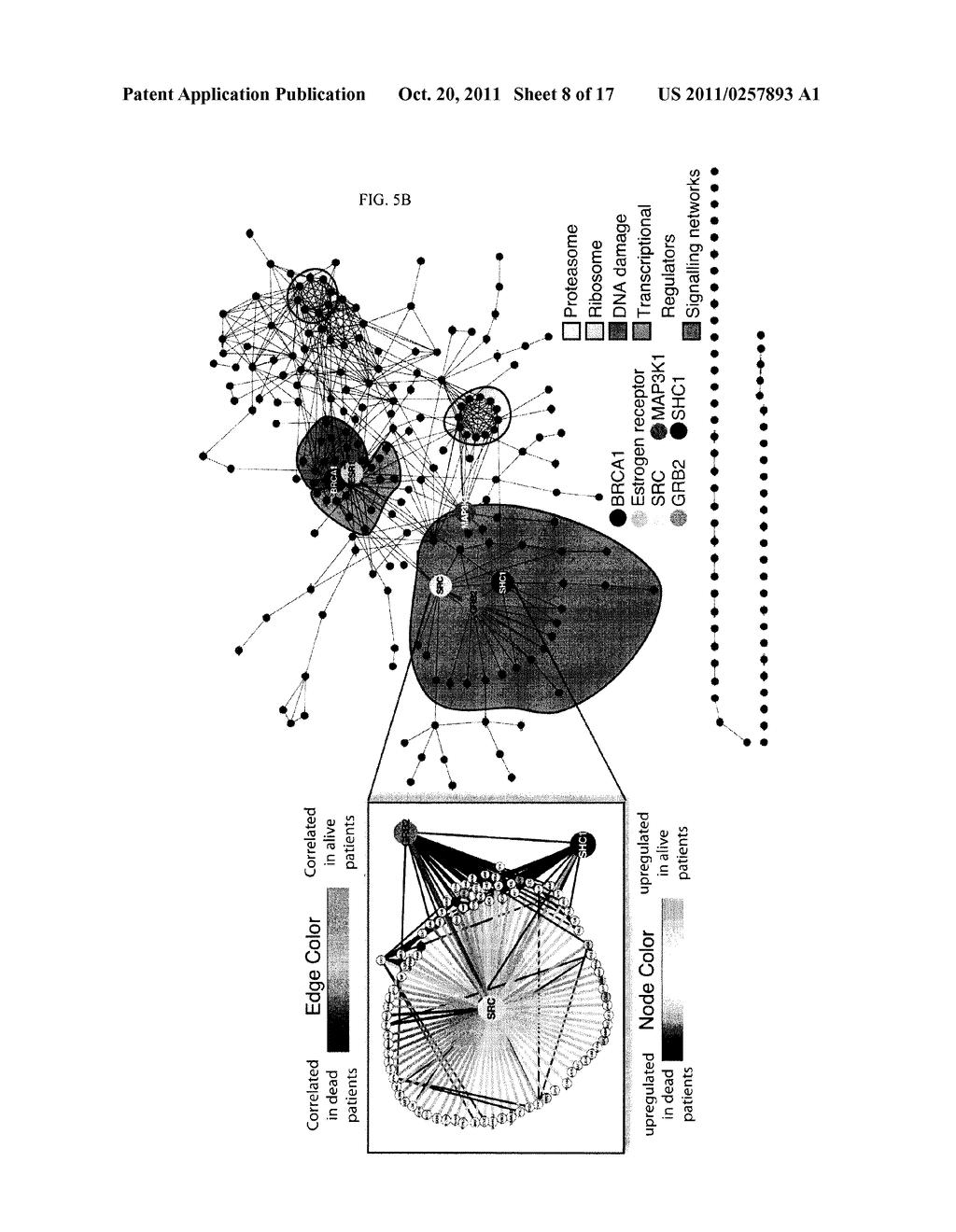 METHODS FOR CLASSIFYING SAMPLES BASED ON NETWORK MODULARITY - diagram, schematic, and image 09