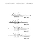 TRANSCUTANEOUS ANALYTE SENSOR diagram and image