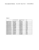 THERMAL DIFFUSIVITY MEASURING SYSTEM, CONCENTRATION OF CALORIC COMPONENT     MEASURING SYSTEM, AND FLOW RATE MEASURING SYSTEM diagram and image