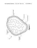 SYSTEMS, METHODS AND COMPOSITIONS RELATING TO COMBUSTIBLE BIOMATERIALS diagram and image