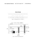 Integrity Evaluation of Prestressed Concrete Girders diagram and image