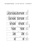 FLEXOGRAPHIC PRINTING METHOD AND FLEXOGRAPHIC PRINTING APPARATUS diagram and image