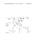 METHOD FOR DETERMINATION OF OXIDATIVE STRESS diagram and image