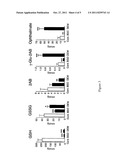 METHOD FOR DETERMINATION OF OXIDATIVE STRESS diagram and image