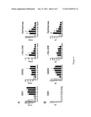 METHOD FOR DETERMINATION OF OXIDATIVE STRESS diagram and image