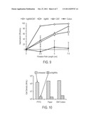 WATER STERILIZATION DEVICES INCLUDING NANOSTRUCTURES AND USES THEREOF diagram and image