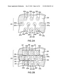 LENSLET ARRAY FOR RETINAL OXIMETRY diagram and image