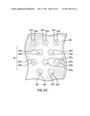 LENSLET ARRAY FOR RETINAL OXIMETRY diagram and image