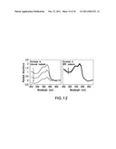 LENSLET ARRAY FOR RETINAL OXIMETRY diagram and image