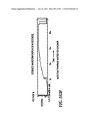 256 Meg dynamic random access memory diagram and image