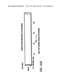 256 Meg dynamic random access memory diagram and image