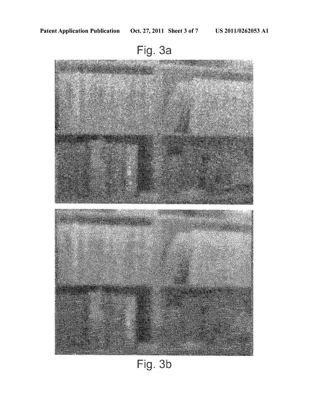 INFRARED RESOLUTION AND CONTRAST ENHANCEMENT WITH FUSION - diagram, schematic, and image 04