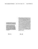 Pharmaceutical Polypeptide Dry Powder Aerosol Formulation and Method of     Preparation diagram and image