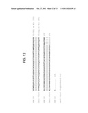 IL-13 BINDING AGENTS diagram and image