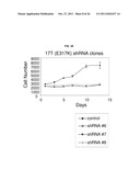 USE OF ERBB4 AS A PROGNOSTIC AND THERAPEUTIC MARKER FOR MELANOMA diagram and image