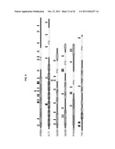 USE OF ERBB4 AS A PROGNOSTIC AND THERAPEUTIC MARKER FOR MELANOMA diagram and image