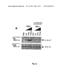 METHOD FOR THE TREATMENT OF GOUT OR PSEUDOGOUT diagram and image