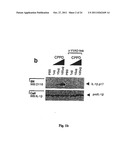 METHOD FOR THE TREATMENT OF GOUT OR PSEUDOGOUT diagram and image