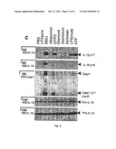 METHOD FOR THE TREATMENT OF GOUT OR PSEUDOGOUT diagram and image