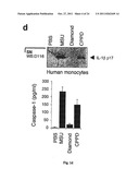 METHOD FOR THE TREATMENT OF GOUT OR PSEUDOGOUT diagram and image