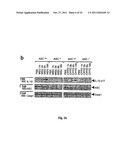 METHOD FOR THE TREATMENT OF GOUT OR PSEUDOGOUT diagram and image