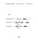 METHOD FOR THE TREATMENT OF GOUT OR PSEUDOGOUT diagram and image