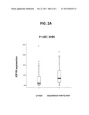 Markers for Assessing the Susceptibility of Cancer to IGF-1R Treatment diagram and image